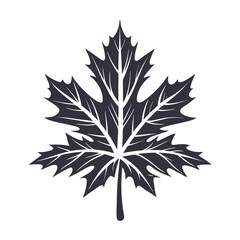 Single maple leaf showcases detailed veins in a stylized and isolated nature