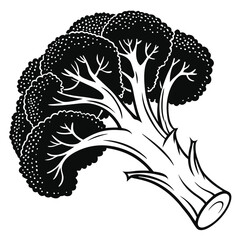 Single stalk of stylized broccoli displays contrasting black and white design