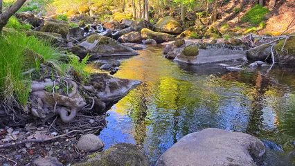 Poster de jardin  Bach im Harz  © Hubert