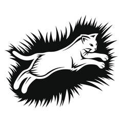 Striking feline showcases a black and white cat dynamically leaping with energy