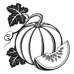 The line drawing depicts a pumpkin alongside leaves and a slice on white background