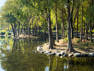 Tranquil Waters: A Lush Lakeside Retreat Surrounded by Nature's Beauty