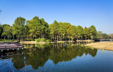 Fototapeta premium Tranquil Lakeside Scene with Lush Green Trees and Reflection on a Sunny Day