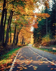 A winding asphalt road meanders through a sunlit autumn forest, flanked by trees ablaze with orange, gold, and red leaves. Fallen foliage carpets the path, embodying the serene, colorful charm.