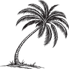 Obraz premium A black silhouette of a leaning palm/coconut tree with foliage and grassy ground is depicted in this image