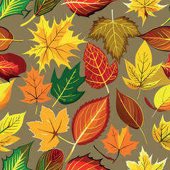 Autumn Leafs and Seamless pattern with and walnut