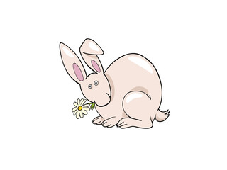 Cute Cartoon White Rabbit Nibbling a Daisy Flower