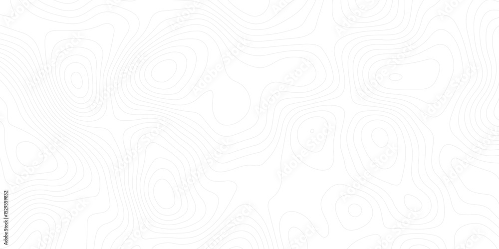 Fototapete abstract white topographic map background with lines. background of the topography map.the topograph