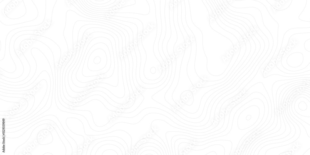 Fototapete abstract white topographic map background with lines. background of the topography map.the topograph