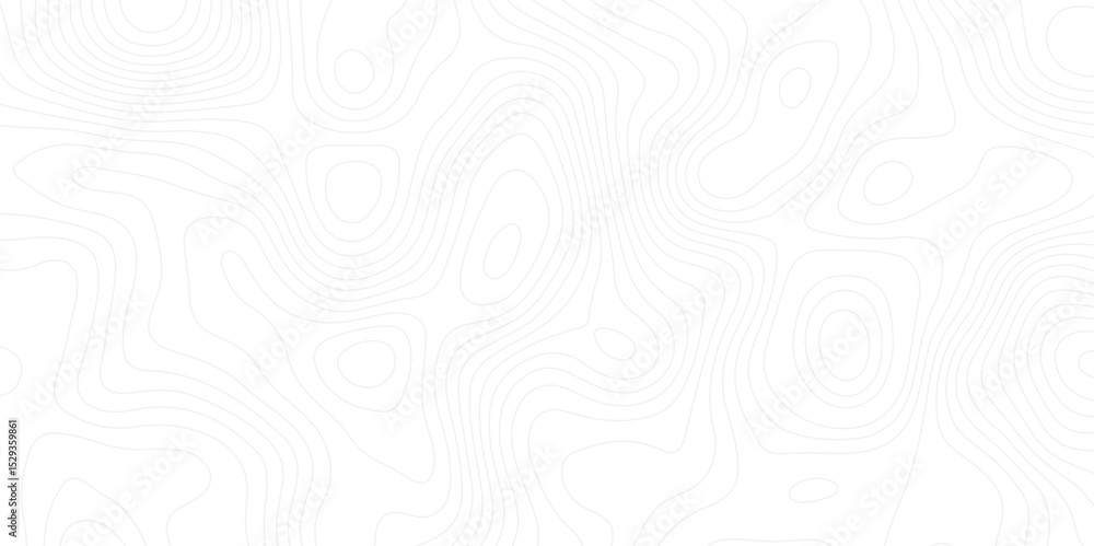 Fototapete abstract white topographic map background with lines. background of the topography map.the topograph