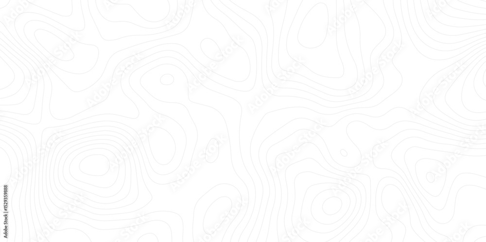 Fototapete abstract white topographic map background with lines. background of the topography map.the topograph