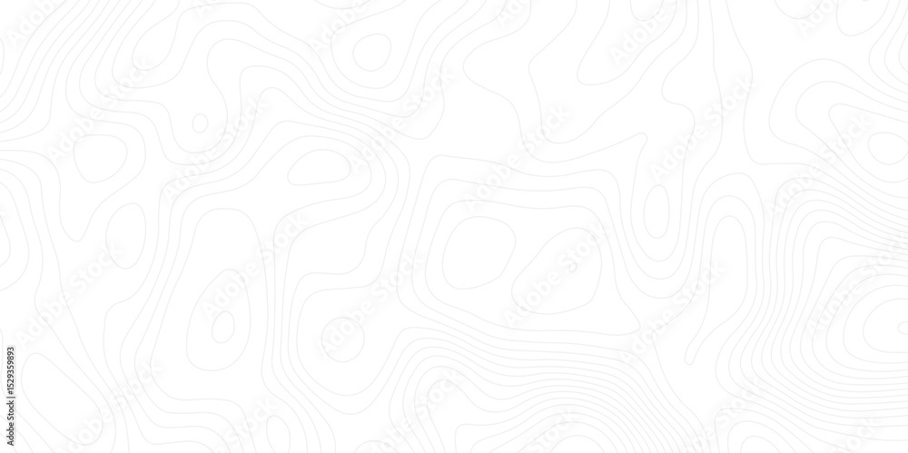 Fototapete abstract white topographic map background with lines. background of the topography map.the topograph