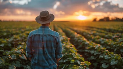 Fototapeta premium A farmer stands in a vast field, gazing at flourishing crops bathed in the golden glow of sunset, symbolizing agricultural prosperity and the connection between nature and hard work.