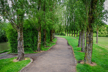 A winding path lined with tall trees on both sides, following the Grand Union Canal through the green surroundings of Milton Keynes