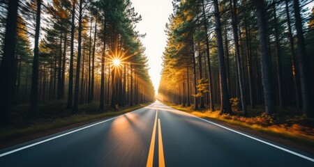 Serene Road Through Pine Forest with Sun Flares and Golden Light