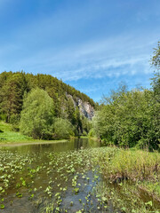 On a beautiful sunny day, a magnificent river flows gracefully, bordered by lush trees and towering...