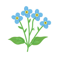 Forget-me-not flower. Flat vector clipart, illustration with isolated background.