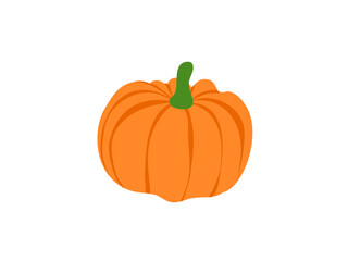 A Single Bright Orange Pumpkin With a Green Stem on a White Background