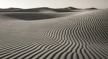 Exploring the Textured Sand Dunes Landscape in Monochrome Desert Scenery