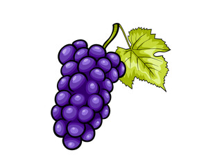 bunch of grapes