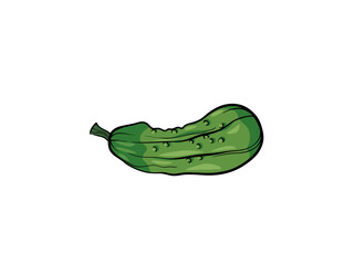 A Single Green Pickle with Blemishes and a Stem on a White Background