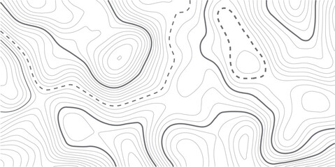 Abstract topo contour map on white background, Topographic map Topographic contour lines map seamless pattern. Geographic mountain relief diagram line wave carve pattern