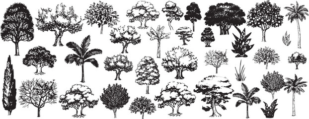 Hand Drawn Trees Set, Black Tree Sketch Collection, Natural Park Illustration, Tree Doodle Elements, Woodland Nature Design, Minimal Forest Art, Tree Line Drawing Pack