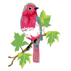 A Beautiful Bird Perched On A Branch With Green Leaves