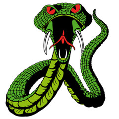 Fierce Cobra Snake Ready to Strike with Open Mouth and Sharp Fangs