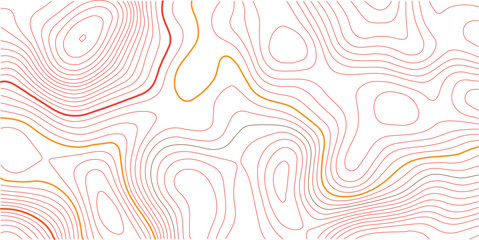 Abstract topo contour map on white background, Topographic map Topographic contour lines map seamless pattern. Geographic mountain relief diagram line wave carve pattern