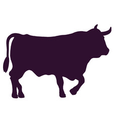 Silhouette of a Powerful Bull Ready for Action in a Field