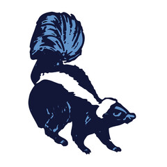 Cute Skunk Illustration with White Stripe and Bushy Tail in Blue and Black