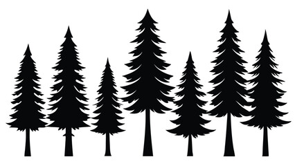 Fototapeta premium Silhouettes of evergreen trees in a forest setting
