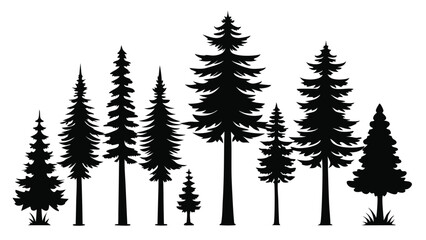 Fototapeta premium Silhouettes of evergreen trees in a forest scene