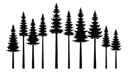 Fototapeta premium Silhouetted evergreen trees forest nature landscape