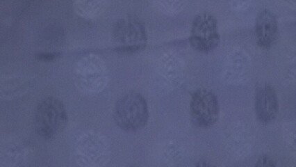 Microscopic image of blurred purple bacterial colonies