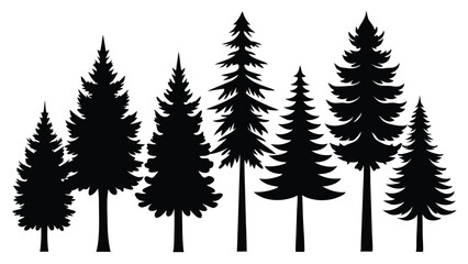 Silhouettes of evergreen trees in a row tall and short