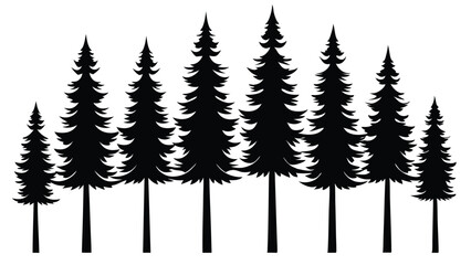 Obraz premium Silhouettes of evergreen trees in a row, various sizes