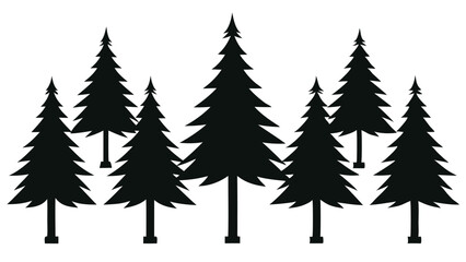 Fototapeta premium Silhouettes of evergreen trees in a forest setting