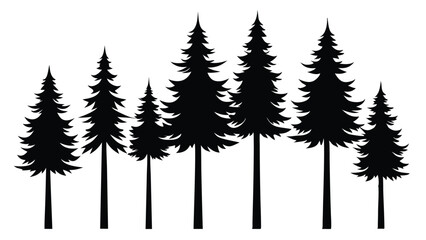 Silhouettes of pine trees in a row forest nature