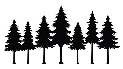 Fototapeta premium Silhouettes of seven evergreen trees in a row
