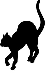 Abstract black background texture design