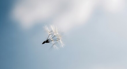 Dandelion Seed Head Drifting in Soft Blue Sky - Freedom Concept