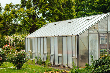 flower greenhouse, view from the outside, surrounded by small rose bushes