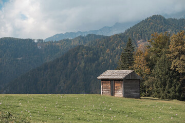 A small wooden hut sits on a grassy field in the mountains. Forested slopes rise in the background...