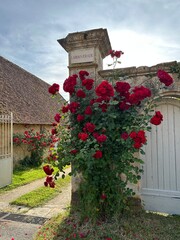 dans les rue de Badefols d'ans