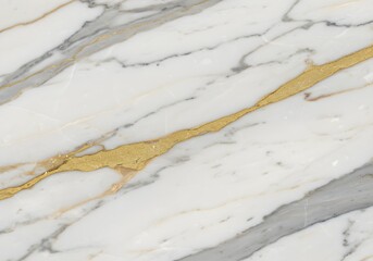 Polished Calacatta Gold Marble Wall