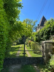 grille en fer forgé