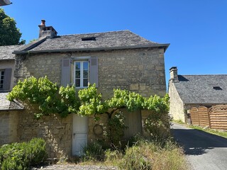 Maison ancienne et sa vigne grimpante