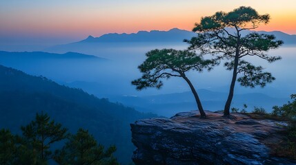 Obraz premium Two pine trees on a cliff during golden hour in a mountain landscape